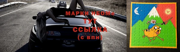 шишки Беломорск