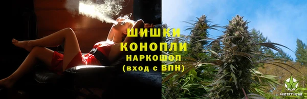 шишки Беломорск