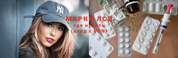 прущие грибы Белоозёрский