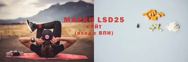 PSILOCYBIN Богородицк
