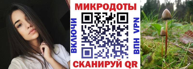 Псилоцибиновые грибы Magic Shrooms  даркнет сайт  Армавир 